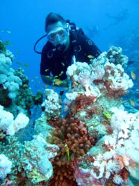 El Quseir Roots Scuba Diving Camp - Red Sea